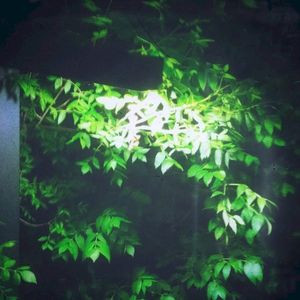 Mental Health (Single)