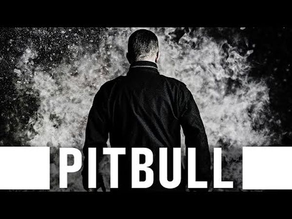 Pitbull