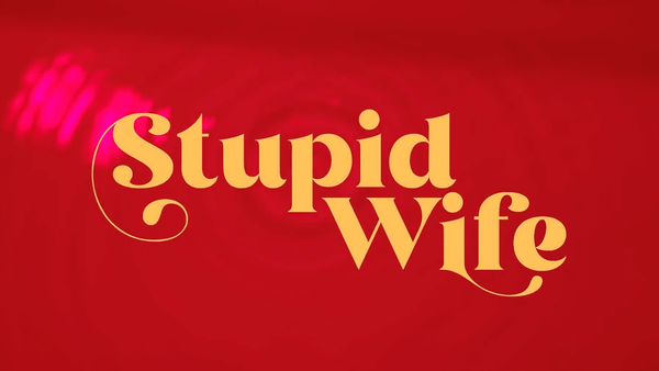 Stupid Wife