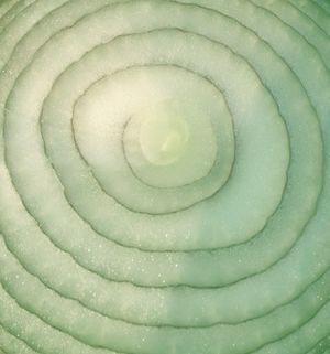 2 Green Onions (Blur vs. Two Tone Mods) (Single)