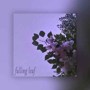 Falling Leaf (Single)