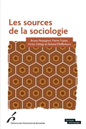 Les Sources de la sociologie