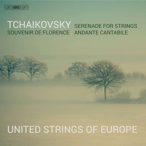 Serenade for Strings / Souvenir de Florence / Andante cantabile