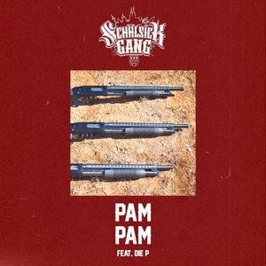 Pam Pam (Single)