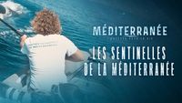 Les Sentinelles de la Méditerranée