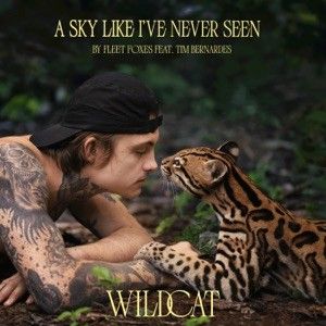 A Sky Like I’ve Never Seen (From the Amazon Original Movie “Wildcat”) (Single)
