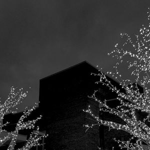 Forgotten Seasons Greetings