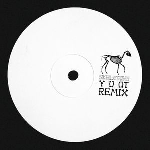 skeletons (Y U QT remix) (Single)