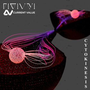 Cytokinesis (Single)