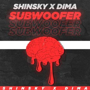 Subwoofer (Single)