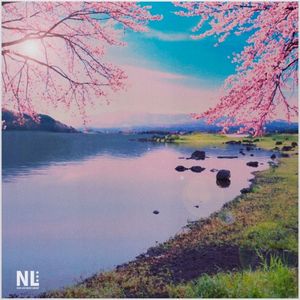 Soft Borders (Single)
