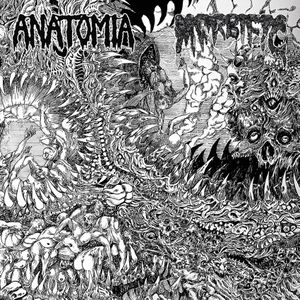 Anatomia / Morbific (EP)