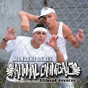 Mindent lehet - Stílusok keverve