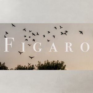 FIGARO