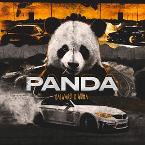 Panda (Single)