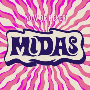 Now or Never (Single)