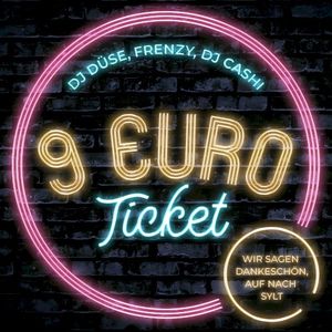 9 Euro Ticket (Single)