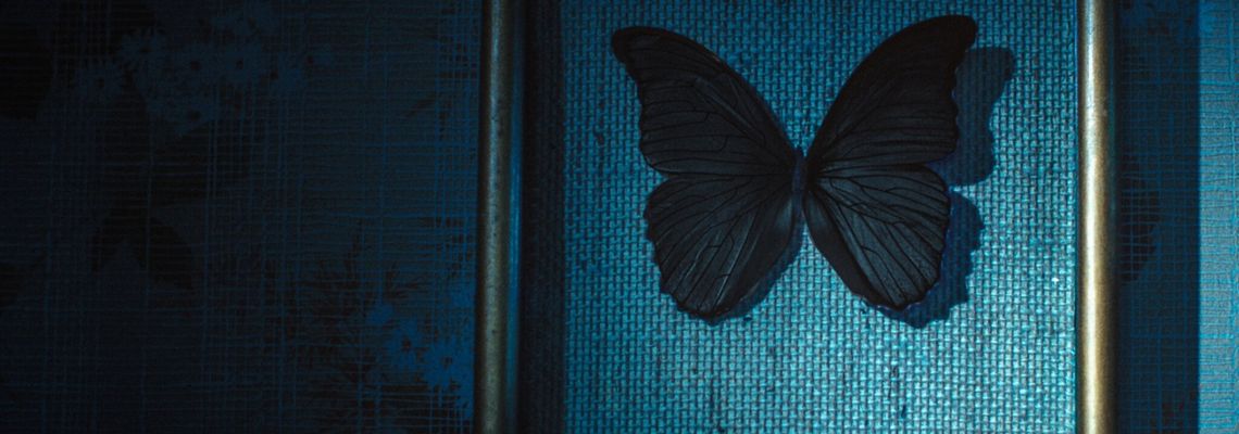 Cover Les Papillons noirs