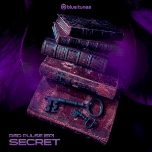 Secret (Single)