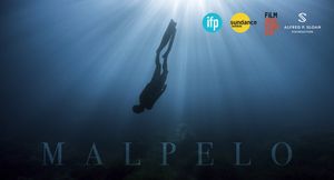 Malpelo: An Expedition