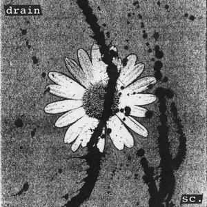 Drain (Single)