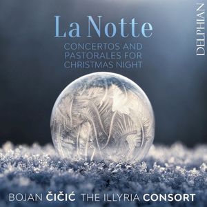 Concerto for Violin and Strings, RV 104 “La notte”: III. Presto