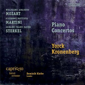 Concerto for Piano and Orchestra in D major, op. 26 no. 2: I. Allegro