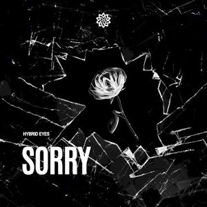 Sorry (Single)