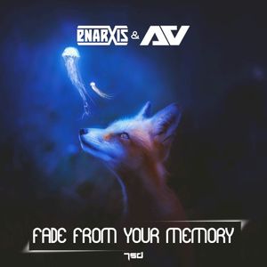 Fade From Your Memory (Single)