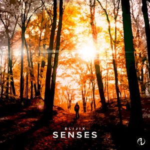 Senses (Single)