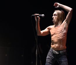 image-https://media.senscritique.com/media/000021048457/0/iggy_pop_les_nuits_de_fourviere_17_07_2015.jpg