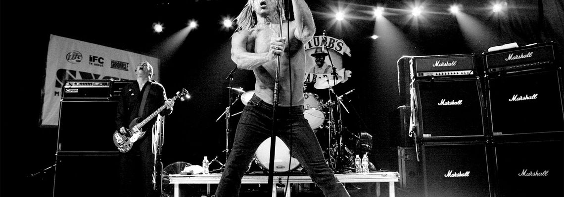 Cover Iggy & the Stooges: Live in Detroit