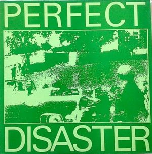 Perfect Disaster