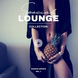 Special Lounge Collection, Vol. 1