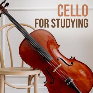 Cello Sonata No. 1 in D Minor, Op. 109: I. Allegro