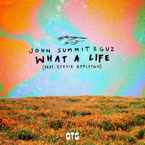 What a Life (extended mix)