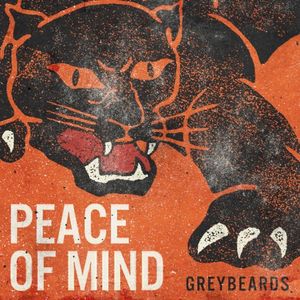 Peace of Mind (Single)