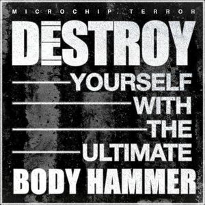 Destroy Yourself With the Ultimate Body Hammer (Single)