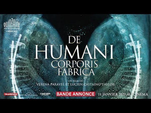 De humani corporis fabrica