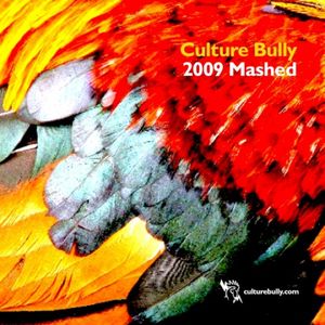 Culture Bully Presents: 2009 Mashed