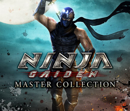image-https://media.senscritique.com/media/000021065874/0/ninja_gaiden_master_collection.png