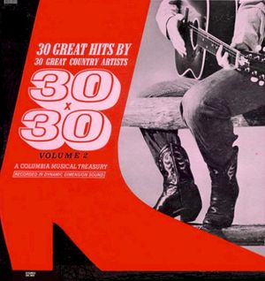 30 Great Hits By 30 Great Country Artists, Volume 2 (30X30)