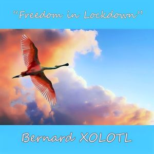 Freedom In Lockdown