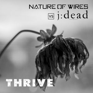 Thrive (Single)