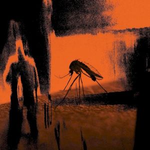 Faster Than the Radio / Mosquito (Single)