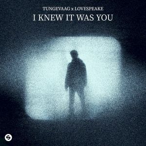 I Knew It Was You (Single)