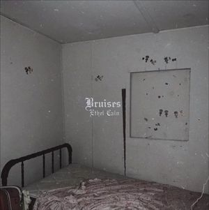 Bruises (Single)
