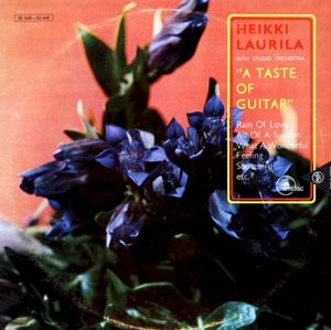 A Taste of Guitar