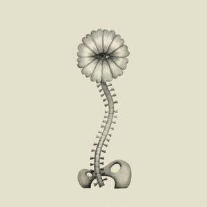 We Are Not Machines: Body Made of Stars (Single)