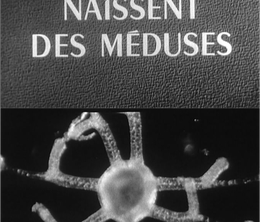 image-https://media.senscritique.com/media/000021081239/0/comment_naissent_des_meduses.png